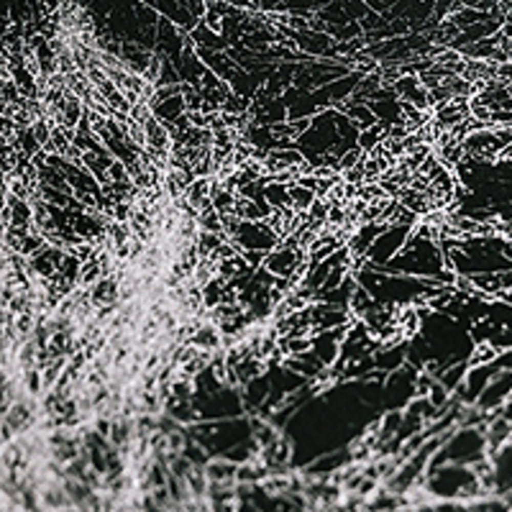 Montana, Spray Paint, Art & School, Effect, Marble, 877706, Silver